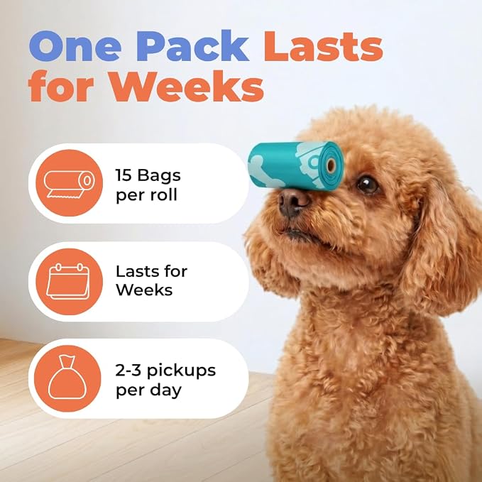 Best Pet Supplies Poop Bags for Dogs - Turquoise, 360 Count | Scented, Leak-proof, Easy-Tear perforations, 15 Thick Bags per roll, Outdoor Walking & Travel, Fits Standard Holders