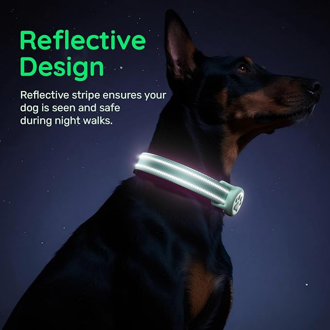 Airtag Dog Collar, Reflective Ultra-Durable Nylon Padded with QR Code Buckle & IP68 Waterproof Air Tag Holder Compatible for Apple AirTag, Comfortable for Small Medium Large Dogs (Green, XS)