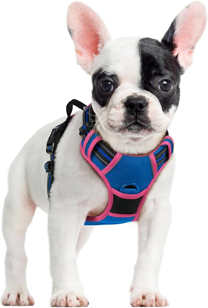 rabbitgoo Dog Harness, No Pull for Small Dogs with 2 Leash Clips, Pet Vest | No Choke with Handle, Adjustable Soft Padded, Reflective, Easy Control for Walking, Blue & Hot Pink, Small