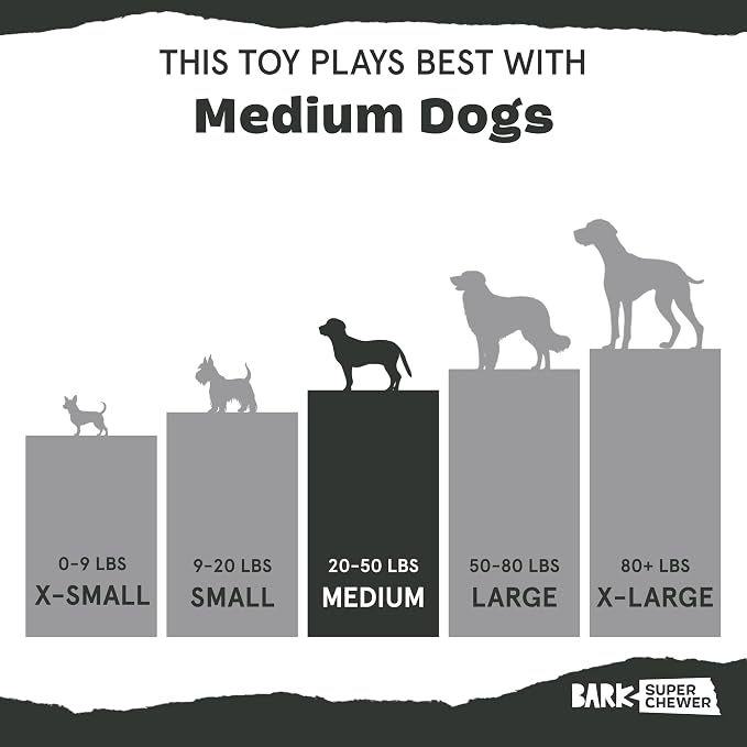 Barkbox Jitter Pug Coffee Bean Dog Toy for Medium Dogs, Hidden Surprise Toy Inside for Engaged and Excited Playtime Fun | Hidden Surprise Toy Inside for Engaged and Excited Playtime Fun