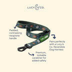 Lucy & Co. x Parks Project Power to the Parks Dog Leash, Durable Matching Dog Lead with Heavy Duty Hardware, Large