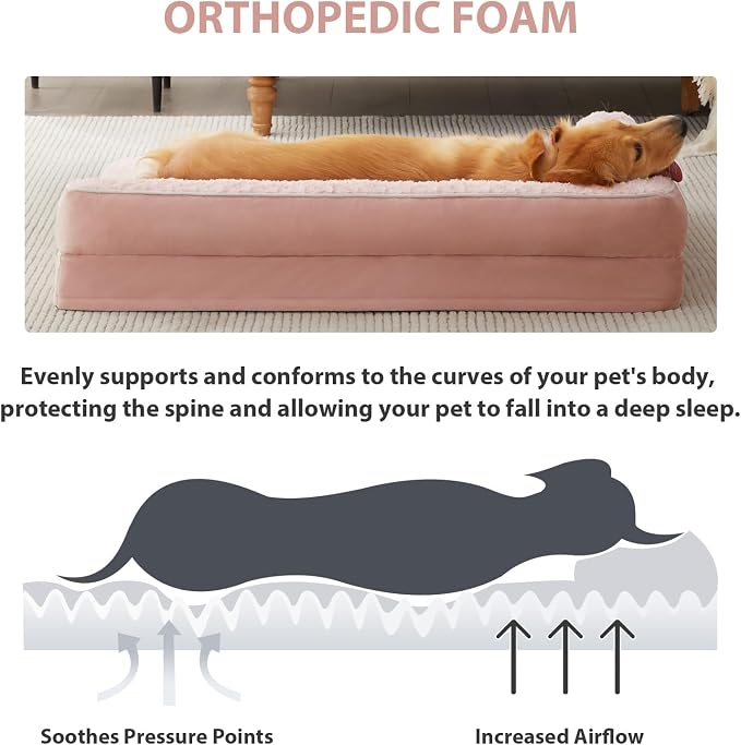 BFPETHOME Orthopedic Washable Dog Bed, Sleeping Couch for Large Senior Dogs | 36x27 Inch Deluxe Plush Rose Velvet Washable Cover, Egg Crate Foam Support, Waterproof Lining, Non-Slip Bottom, Pink