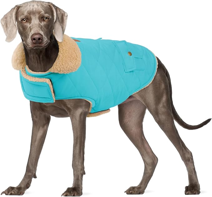 Dog Winter Jacket for Extra-Large Dogs, Pet Windproof Cold Weather Coats, Pets Clothes Snow Jacket, Golden Retriever, Labrador Retriever, Husky, Blue XL
