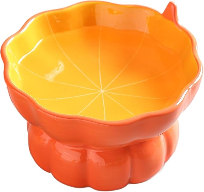 Cute Pumpkin Shaped Raised Ceramic Cat Water Bowl, 9 oz | Whisker Friendly, Anti Vomiting, Elevated Design, Indoor Cats