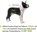 Dog Raincoat, Professional Waterproof Taped Seams for Puppies & Tiny Small Dogs (Pink, XS)