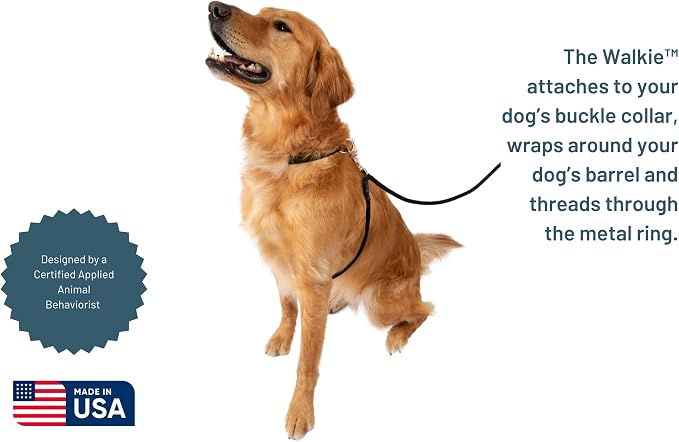 The Walkie No Pull Dog Leash - Gentle, Effective, Encourages Loose Leash Walking - Made in USA - Black - Size Large for Dogs 25 lbs – 150 lbs