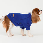 Fitwarm 3 Pack Classic Fleece Dog Sweater, Winter Clothes for Small Dogs Boy Girl, Turtleneck Dog Sweatshirt, Pet Apparel, Orange Red, Royal Blue, Neon Yellow, Large