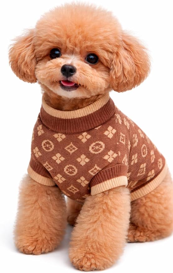 Dog Sweater for Small Dogs, Designer Dog Clothes, Luxury Chewy Pawtton Knit | Designer dog clothes for small dogs with soft knit comfort, luxury styling and easy pullover fit for Yorkies in cold weather.