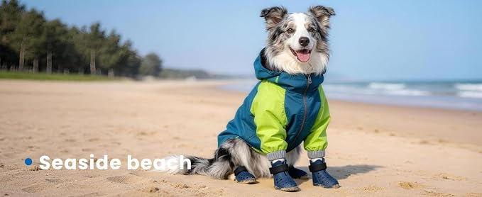 Dog Shoes for Hot Pavement - Comfortable Paw Protection for Medium & Large Dogs, Adjustable Strap & Non-Slip, Easy-Clean, Outdoor Sports Boots, Dog Booties for Summer Rain (Blue, M)
