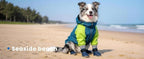 Dog Shoes for Hot Pavement - Comfortable Paw Protection for Medium & Large Dogs, Adjustable Strap & Non-Slip, Easy-Clean, Outdoor Sports Boots, Dog Booties for Summer Rain (Blue, M)