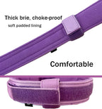 Tactical Dog Collar for Large Dogs with Control Handle,Purple,M | 1000D Heavy-Duty Nylon Fabric,Quick-Release Metal Buckle,Adjustable Fit,Soft-Padded Webbing,D-Ring,for Training & Hiking