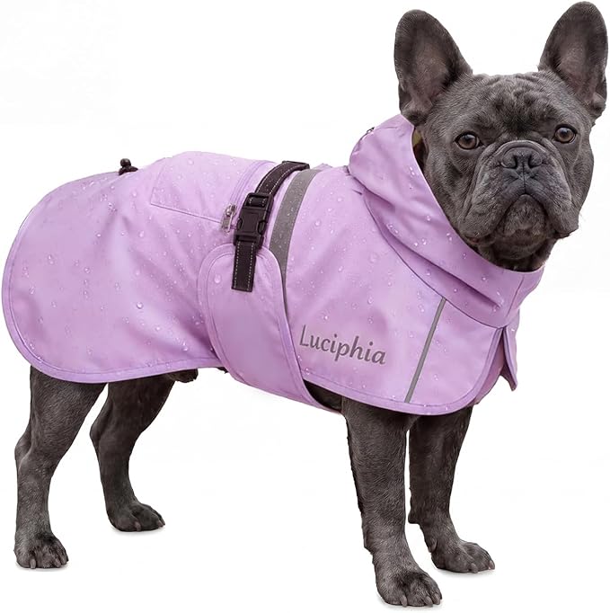 Luciphia Dog Raincoat, Adjustable Hooded Reflective Jacket with Pocket | Purple Medium dog rain jacket with leash hole, buckle-on, non-stick fur. For daily walks. Multiple colors and sizes.