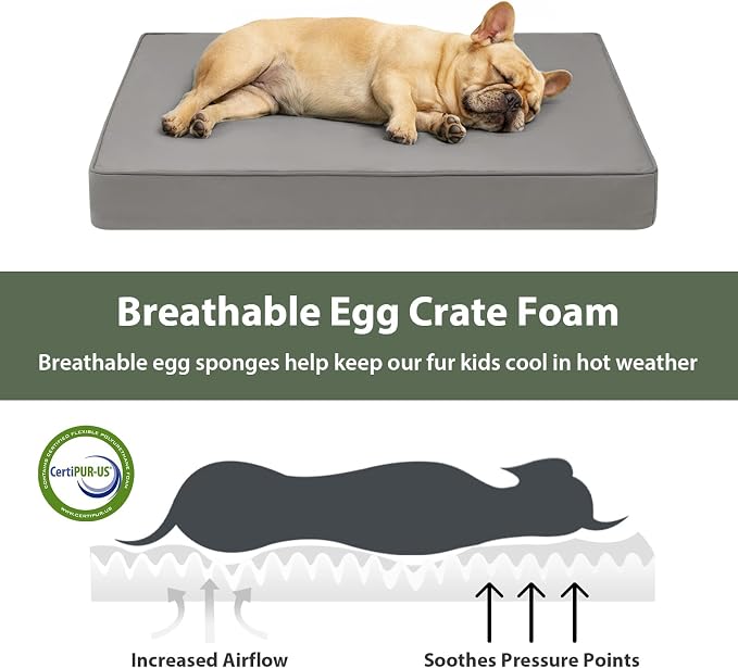 WNPETHOME Large Outdoor Dog Bed, Waterproof & Easy to Clean - Spacious Crate Mat for Extra Large Dogs with Removable Washable Cover, Egg Crate Foam, Indoor Outdoor Use