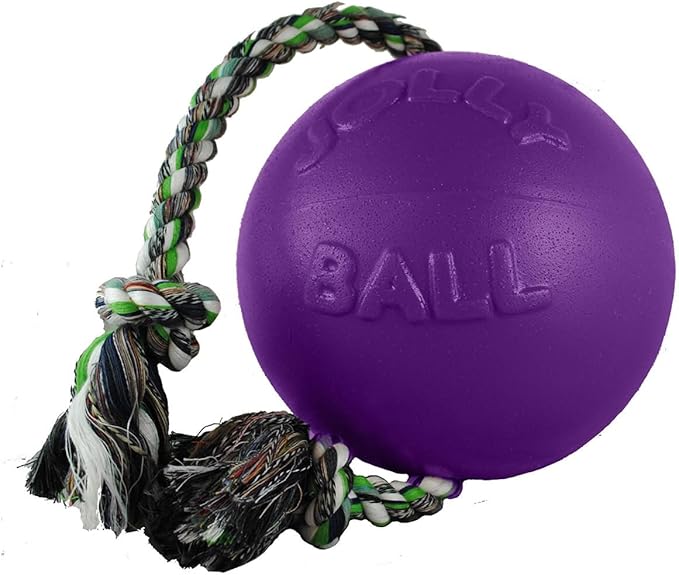 Jolly Pets Romp-n-Roll Rope and Ball Dog Toy, 4.5 Inches/Small, Blueberry for All Breed Sizes