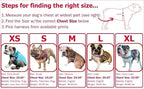 BULLHUG Adjustable Dog Harness– No Pull, No Choke – for English Bulldogs, French Bulldogs, Pugs & Broad-Chested Breeds – Easy, Safe Walks (Watermelon, Medium)