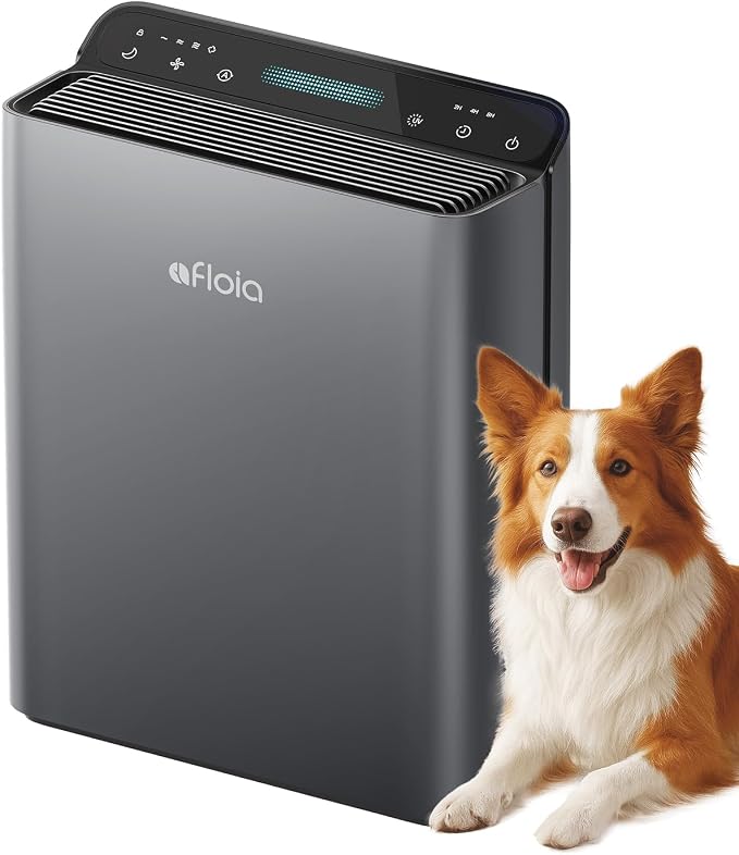 Afloia Air Purifier for Home & Bedroom, 2,000 ft², PM2.5 Monitor | Europa 2.0 Grey features a PM2.5 Air Quality Monitor, Smart Auto Mode, and a washable pre-filter for large homes.