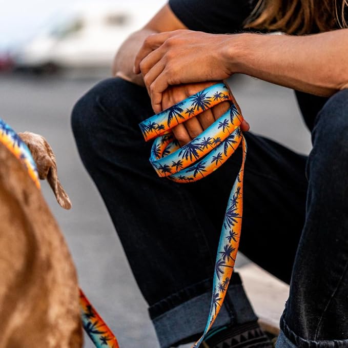 Wolfgang Heavy Duty Dog Leash, Pull-Tested to Over 800 lbs for Walking & Training, SunsetPalms Print, Dual-Handle Large