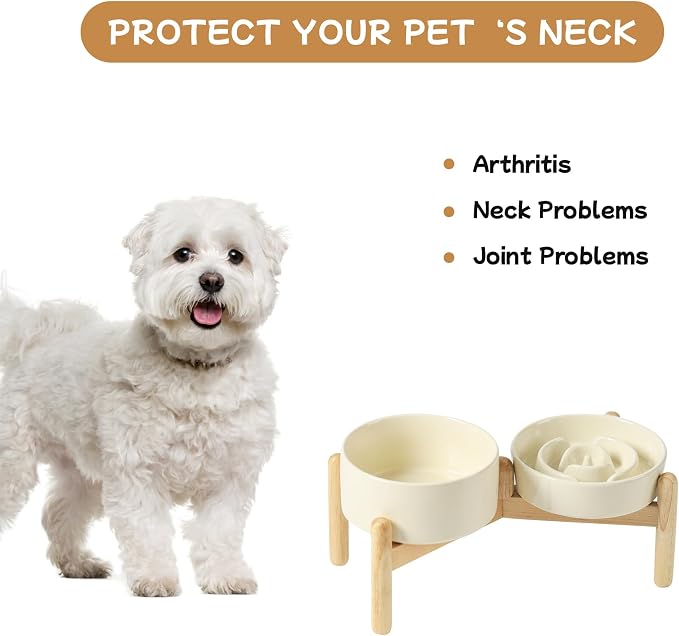 Havniva Elevated Slow Feeder Dog Bowls, Ceramic Dog Bowl Slow Feeder Set | 0.9 Cups Raised Slow Feeding Bowl for Small Breed, 6.1” Dog Water Bowl with Wooden Stand, Puzzle Dog Slow Feeder, Non-slip