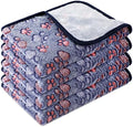 Tatuo 4 Pcs Fleece Dog Blanket for Puppy Cat, Blue, 24 x 16 in, Paw by Tatuo