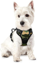 rabbitgoo Dog Harness, No Pull for Small Dogs with 2 Leash Clips, Pet Vest | No Choke with Handle, Adjustable Soft Padded, Reflective, Easy Control for Walking, Green Mountain, X-Small