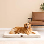 EHEYCIGA Orthopedic Dog Bed Large with Removable Washable Cover,Camel,35x23 | Egg Crate Foam Support,Durable Oxford fabric,Non-Slip Bottom,Machine Washable,Soft Waterproof Plush Pet Bed Mat For Crate