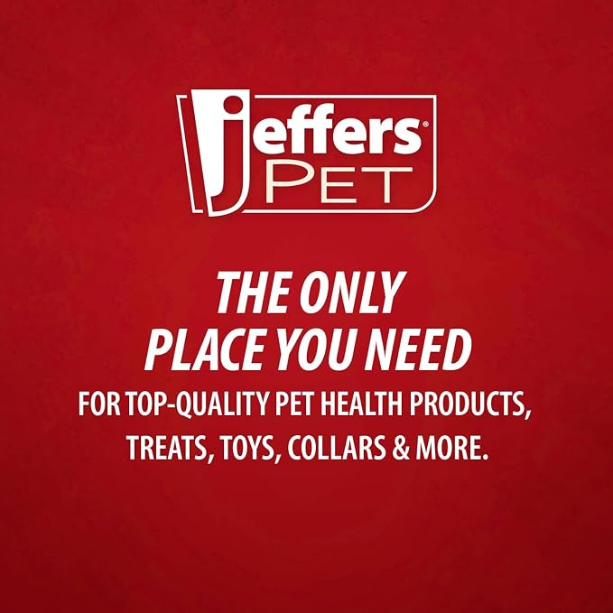 Jeffers Pet Vanilla Walnut Conditioning Dog & Cat Shampoo, 17 oz – Deodorizing Grooming Wash, Coconut Based Soap Free Formula, Walnut Oil & Vanilla Extract, Vitamins A D E, Concentrated Coat Care