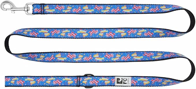 RC Pets Dog Leash | 6ft Leash with Durable Grip, Reflective Label & Accessory Ring | 3/4-Inch Wide, Soft Webbing | Fiesta