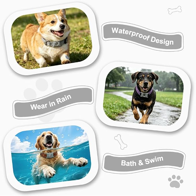 Natural Flea and Tick Pendant for Dogs with 2 Silicone Buckles 4 Refills, Water Resistant Dog Flea and Tick Collar Repellent Accessory for Indoor Outdoor Flea and Tick Prevention, COLLAR NOT INCLUDED