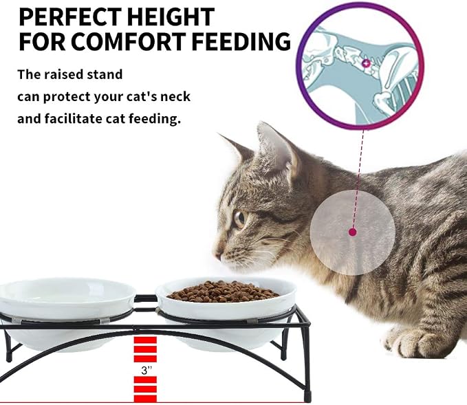 FOREYY Elevated Cat Bowls with 2 Ceramic & 2 Stainless Steel Bowls, Raised Cat Food & Water Dishes with Iron Stand, Porcelain Pet Dishes for Cats & Small Dogs, 16 Ounces, Dishwasher Safe (White)
