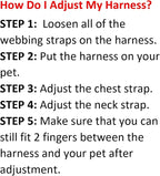 Best Pet Supplies Voyager Adjustable Step-in Flex Breathable Mesh Dog Harness for Small Medium Large Dogs Leash Set (Red), S