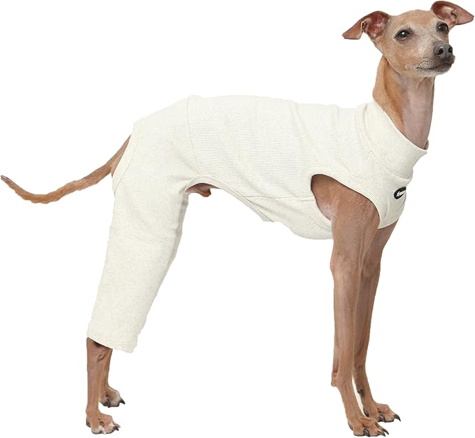 D Doggy Star Italian Greyhound Clothes High-Stretch Sleeveless Onesie for Styling (M,Coordi Otameal)