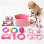 20 Pack Puppy Teething Chew Toys for Small Dogs, Bulk Dog Toys for Puppies | Pink Rubber Rings, Ropes & Balls, Puppy Teething & Dental Care, Relieves Puppy Boredom, Stops Destructive Chewing