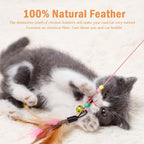 40 Pack Cat Feather Toy Wand, Interactive Pet Kitten Chaser Teaser Wire Wand with Bell Beads for Cat Exercise Play Fun Gifts - Wholesale