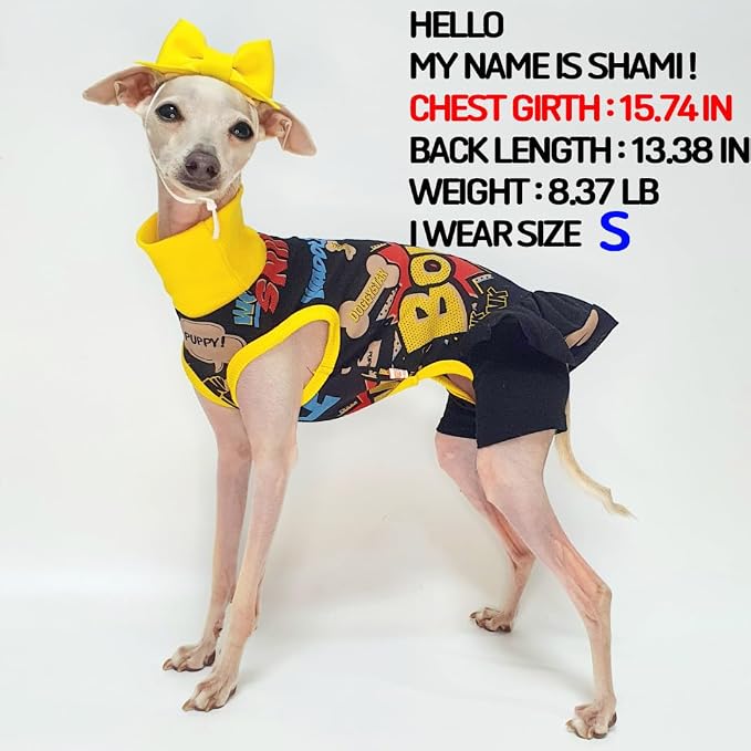 D Doggy Star Italian Greyhound Clothes Stretchable Bow Leggings One-piece Whippet for Dog (3XL,Ops Bow Black)