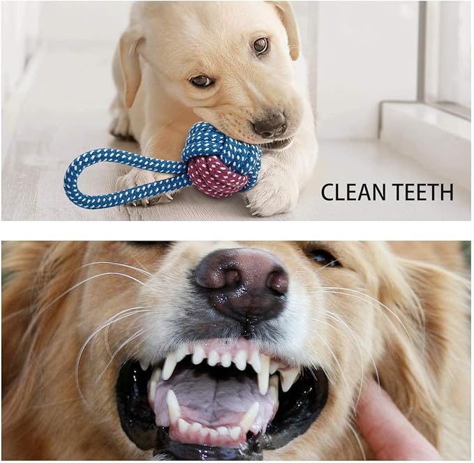 Toozey 7 Pack Small Dog Toys, Puppy Teething Toys, Durable Ropes Chew Toys, Cute Calf Squeaky Dog Toys, Non-Toxic and Safe