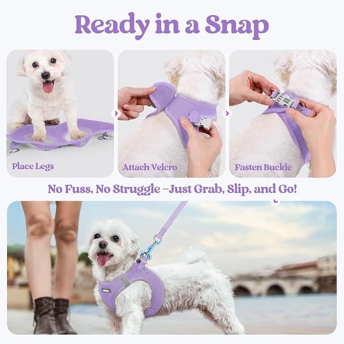 rabbitgoo Dog Harness Small Sized and Leash Set, Step-in Puppy Pet Vest | Light, Soft, Breathable Air Mesh, Easy on and Remove with Hook & Loop, Secure Reflective for Walking, Light Purple XXXS