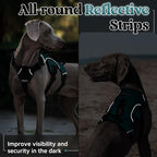 rabbitgoo Escape Proof Dog Harness for X-Large, No Pull with Lift Handle | No Escape, Full Soft Padded, Reflective Adjustable Vest, Leash Clip for Walking Hiking Training, Dark Green, X-Large
