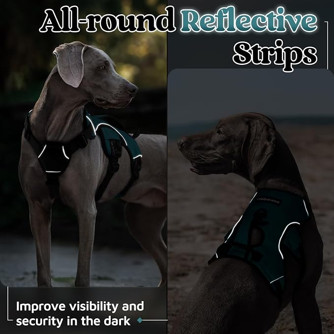 rabbitgoo Escape Proof Dog Harness for X-Large, No Pull with Lift Handle | No Escape, Full Soft Padded, Reflective Adjustable Vest, Leash Clip for Walking Hiking Training, Dark Green, X-Large