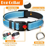 LOBEVE No Pull Dog Harness, Collar & Leash Set with Retractable Dog Seat Belt, Collapsible Dog Bowls and Poop Bag Dispenser - Ideal for Training, Walking, Hiking - Fits Small to Large Dogs(Blue-M)