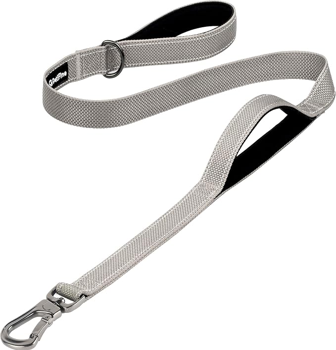 PetiFine 4FT Heavy Duty Dog Leash with Soft Padded Double Handle | Traffic Handle Extra Control,Auto Lock Hook,Reflective Nylon Walking Lead for Large,Medium,Small Breed Dogs