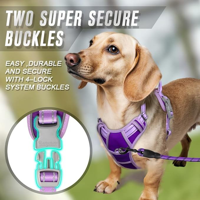 BARKBAY No Pull Dog Harness Front Clip Heavy Duty Reflective Easy Control Handle for Large Dog Walking(Violet Purple & Purple,XS)