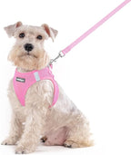 rabbitgoo Dog Harness Medium Sized and Leash Set, Step-in Puppy Pet Vest | Light, Soft, Breathable Air Mesh, Easy on and Remove with Hook & Loop, Secure Reflective for Walking, Light Pink XXL