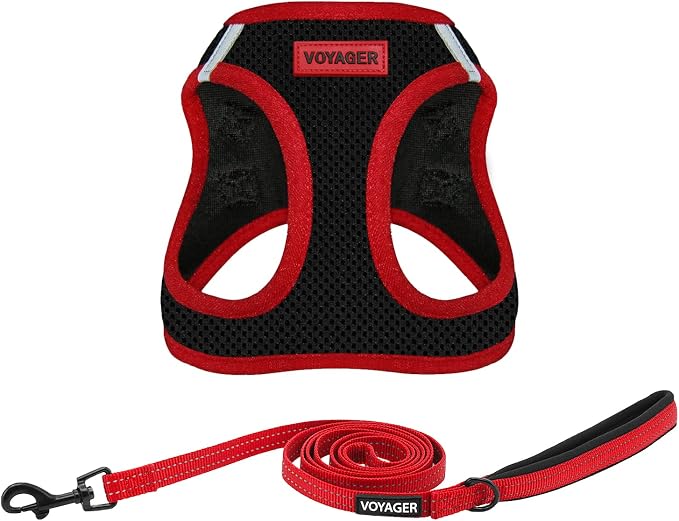 Best Pet Supplies Voyager Step-in Air All Weather Mesh Harness and Reflective Dog 5ft Leash Combo with Neoprene Handle, for Small, Medium and Large Breed Puppies - Red Trim, X-Small