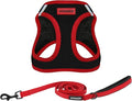 Best Pet Supplies Voyager Step-in Air All Weather Mesh Harness and Reflective Dog 5ft Leash Combo with Neoprene Handle, for Small, Medium and Large Breed Puppies - Red Trim, X-Small
