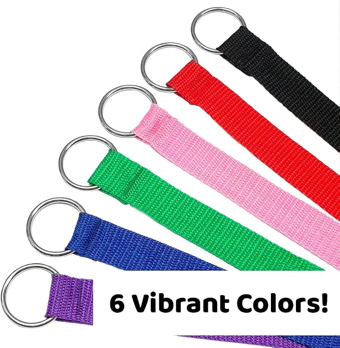 Downtown Pet Supply Slip Lead Dog Leash 120 Pack, 4' x 1/2" - Universal Dog Slip Leash with Metal O Ring - Machine Washable for Groomers, Shelters, Rescues, Vets, or Doggy Daycares