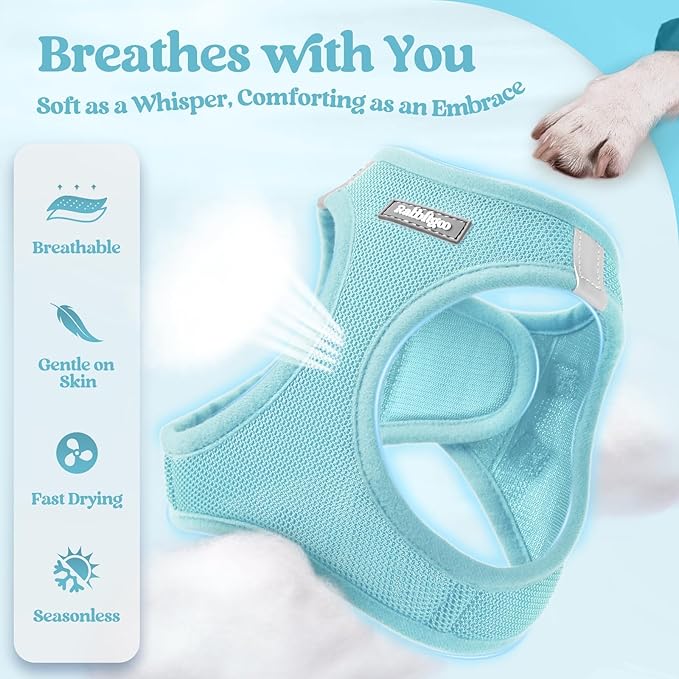 rabbitgoo Dog Harness Small Sized and Leash Set, Step-in Puppy Pet Vest | Light, Soft, Breathable Air Mesh, Easy on and Remove with Hook & Loop, Secure Reflective for Walking, Mint Blue XS