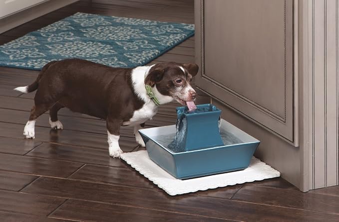 PetSafe Cat and Dog Water Fountain - Automatic Water Dispenser - Drinkwell Pagoda Ceramic Fountain for Pets - Filter Included - Blue - 70 oz, Model:PWW00-14898 | 2 Falling Water Streams Encourage Hydration, Cat & Small Dog Water Fountain, Carbon Filter...