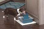 PetSafe Cat and Dog Water Fountain - Automatic Water Dispenser - Drinkwell Pagoda Ceramic Fountain for Pets - Filter Included - Blue - 70 oz, Model:PWW00-14898 | 2 Falling Water Streams Encourage Hydration, Cat & Small Dog Water Fountain, Carbon Filter...