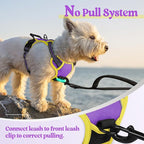 rabbitgoo Dog Harness, No Pull for Small Dogs with 2 Leash Clips, Pet Vest | No Choke with Handle, Adjustable Soft Padded, Reflective, Easy Control for Walking, Purple & Yellow, X-Small