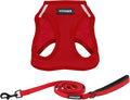 Best Pet Supplies Voyager Step-in Air All Weather Mesh Harness and Reflective Dog 5ft Leash Combo with Neoprene Handle, for Small, Medium and Large Breed Puppies - Red, Medium